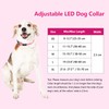 PcEoTllar LED Dog Collar Flashing Light Up Dog Collar 100%