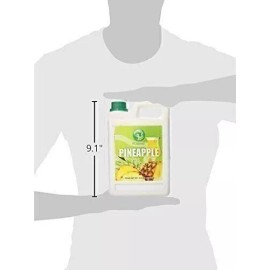 Possmei Bubble Tea Syrup Pineapple Flavor 5.5 lbs. Imported from Taiwan