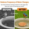 6 Pcs Bird Bath Copper Disk, 0.6mm Premium 99.99% Copper