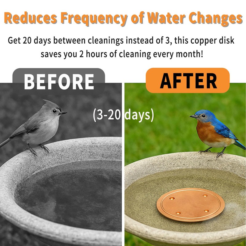 6 Pcs Bird Bath Copper Disk, 0.6mm Premium 99.99% Copper
