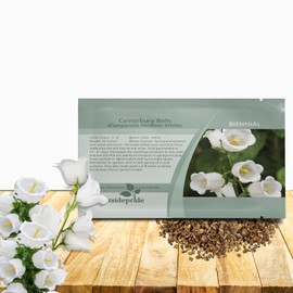 Outsidepride Medium White Canterbury Bells Flower Seeds - 10000 Pcs Biennial Easy to Grow Cut Flower Garden Seeds with Charming Bell-Shaped Blooms for Floral Arrangements, Borders, & Cottage Gardens
