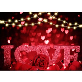 HQM Rose Bokeh Glitter Red Love Heart Theme Photo Backgrounds 9X6 ft Fabric Wedding Bride Shower Mother's Day Valentine's Day Anniversary Party Photography Backdrops Couple Studio Shoot Booth Props
