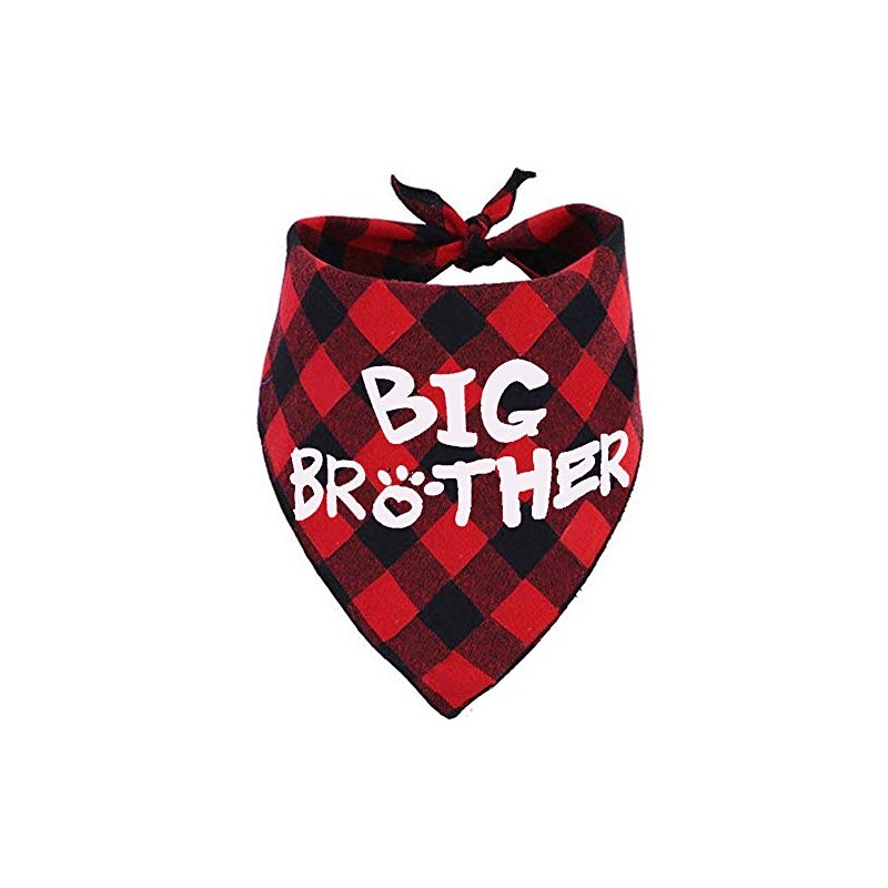 JPB Big Brother - Bandana para perro, diseño de búfalo
