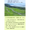 Chaku Sakyu 2024 Ichiban Tea (New Tea) Sencha First Picking,
