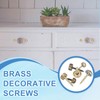YELARXI Brass Decorative Screws with Caps, Mirror Screw Self Tapping