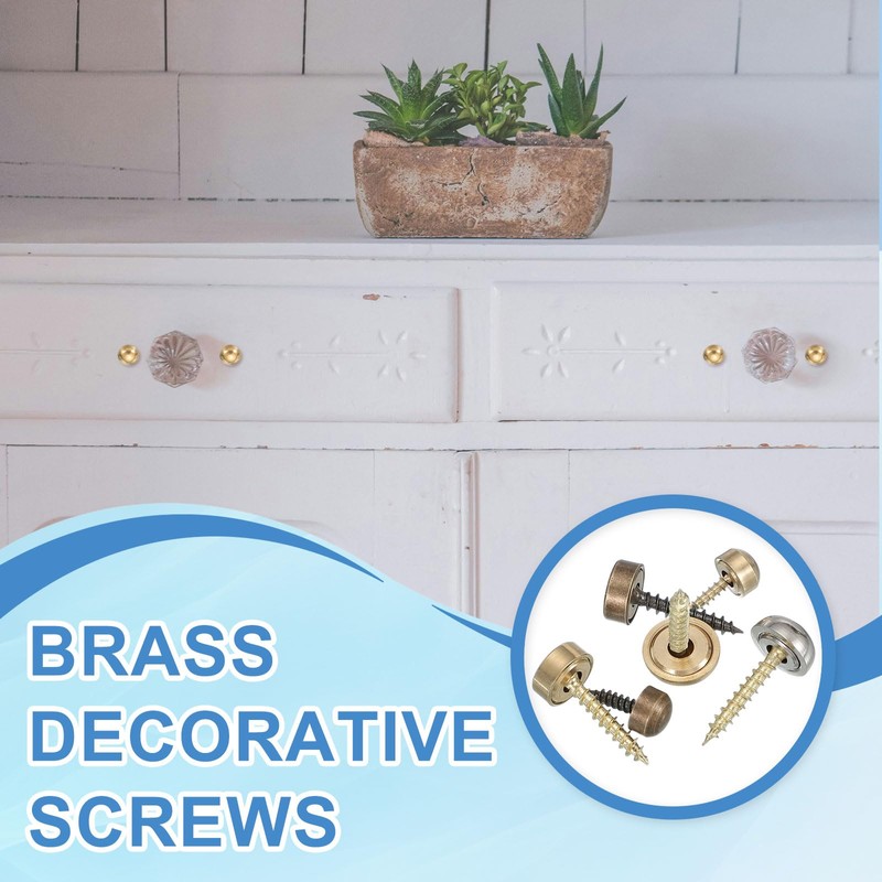 YELARXI Brass Decorative Screws with Caps, Mirror Screw Self Tapping