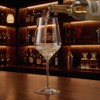 ANBFF Crystal Wine Glasses Set of 2-21oz Hand Blown Long