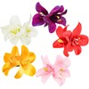5Pcs Colorful for Artificial Bohemian Hawaiian Hibiscus Plumeria Flower Hair