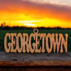 HipFlaskPlus Georgetown - Cedar Ornament