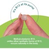 Energy Supplement, Vitamin B12 Complex High Strength Vegan Tablets |