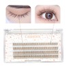 LASHIDOL Partial False Eyelashes, Matsueku Self False Eyelashes, Natural, Popular,