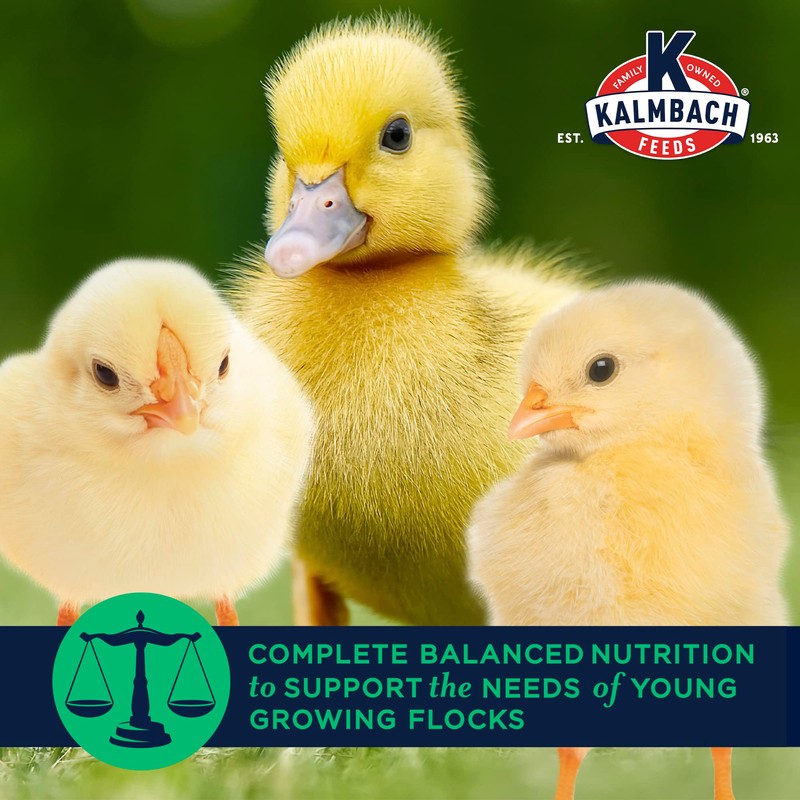 Kalmbach Feeds 20% Flock Maker Crumbles for Mixed Flocks of
