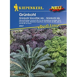 Kiepenkerl 2947 Kale Smoothie Mix - Kale Mix (Kale Seeds)
