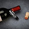 XLKJ Wine Pourer, Stainless Steel Decanter Pourer, Wine Pourer Gift