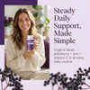 Elderberry - EIvera Gut Support Complex, 1200mg Elderberry Extract Capsules,