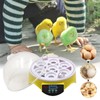 Svauoumu Incubator Poultry Incubator, Manual Egg Turner Incubator, Intelligent Temperature
