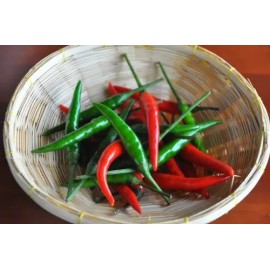 25 Semillas Exóticas De Chile Picante Thai Para Tu Huerto                                                                                             