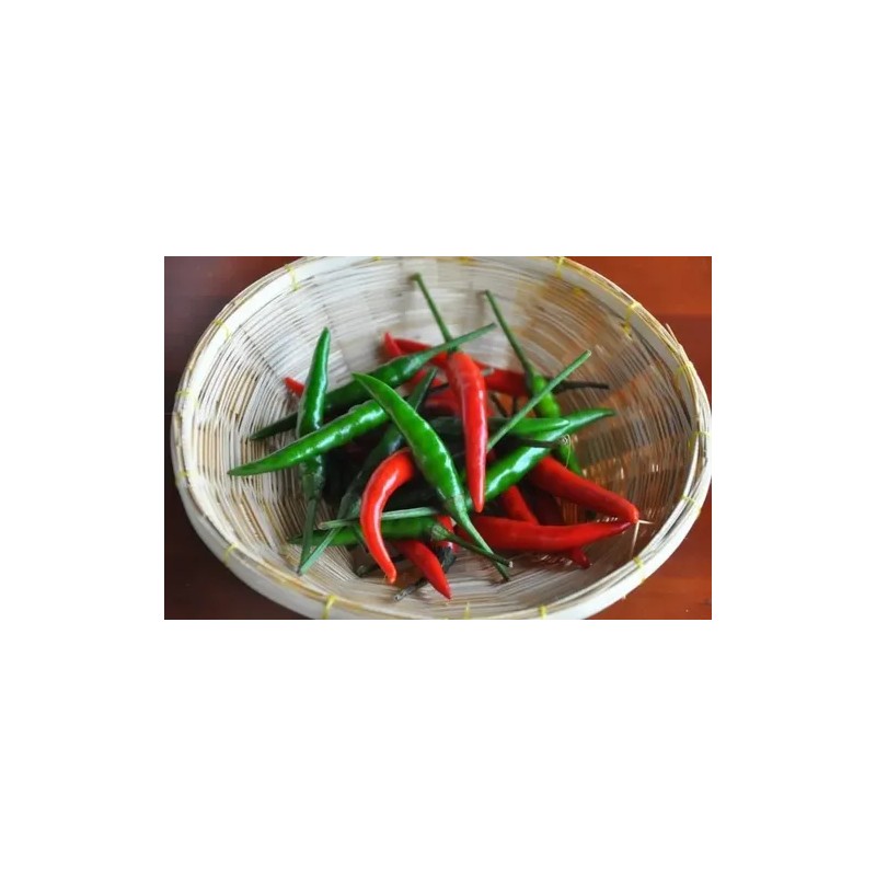 25 Semillas Exóticas De Chile Picante Thai Para Tu Huerto
