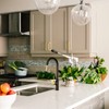 Achelous Black and Gold Kitchen Faucet with Pull Down Magnetic