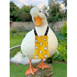 Magnoloran Chicken Diapers for Hens, Roosters, Diapers for Ducks, Ducklings, Reusable Pet Diaper with Bow Ties Waterproof Poultry Nappies for Geese Pet Ducks-Swimming Duck,M