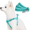 Blueberry Pet Essentials Reflective Back to Basics Matching Dog Harness