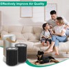 imeccalive 2 Pack Air Pro PECO-HEPA Filters Replacement Compatible with