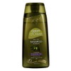 Dalan d’Olive Color Protection Shampoo (250ml)