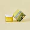 Skin79 샤인 유자 크림 70ml Shine Yuzu Cream 70ml