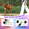 Light Up Dog Leash with Collar 2-in-1, 14 LED Modes