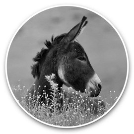 2 x 7.5cm Vinyl Stickers - Cute Brown Donkey Farm Animals Cool Decals 41331