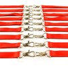 Lanyard with Clear Card Holder, Assorted Colours, Id Card Holder