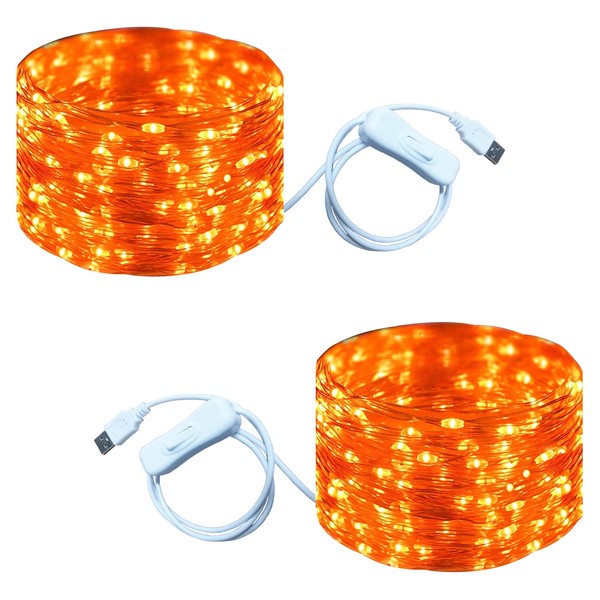 RUICHEN USB Fairy Lights 33 Ft 100 LED String Lights