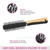 Vega Round Brush (Color May Vary)