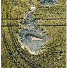 Bach: Partita & Concertos