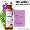UpNature Lavender Essential Oil Pure Roll On - 100% Natural