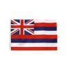 Flaggenfritze® USA Hawaii Flag 30 x 45 cm