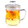 CNGLASS Glass Tea Cup with Removable Infuser and Lid,10oz Thickened