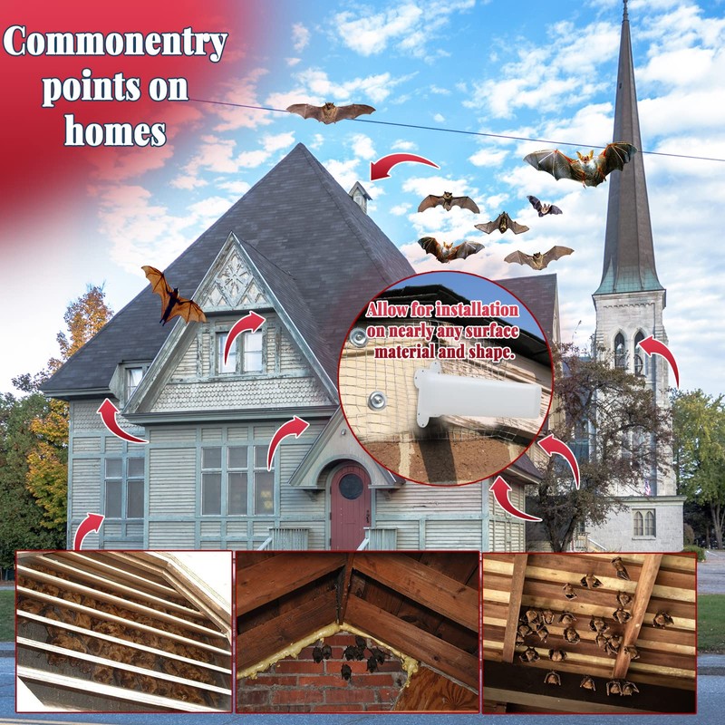 Bat Reusable Exclusion, Bat Cone Excluder Removal Tool, One Way