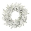 Melrose International Flocked Pine Wreath 24" D Plastic