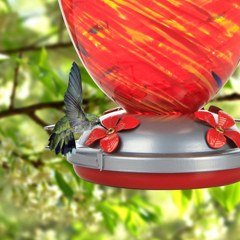 6 Pack Hummingbird Feeder Replacement Parts Set Includes Hummingbird Feeder