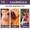 Bene Pura Trust Nature BenePura Calendula Ointment, Natural Ointment for