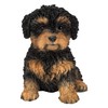 Pet Pals Black and Tan Cavapoo | Resin Home or
