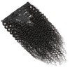 Luovce Clip in Hair Extensions Real Human Hair Kinky Curly