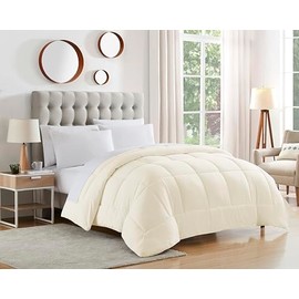 Dorm Room Essentials College Bedding Comforter 1 Piece Queen Size Solid Color Duvet Insert for College Students Boys and Girls, Queen, Ivory Off White
