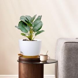 WSMKSZ 10 inch Self Watering Pots, 2 Pack Plastic Planters with Mesh Drainage Holes for Garden Plants, Plants Pots with Deep Reservoir for Indoor Outdoor Plants, White with Brown