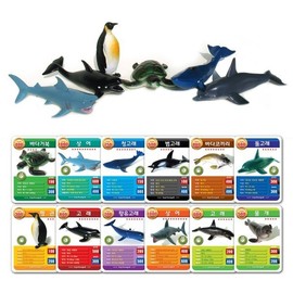 iFriends Ocean Land Set A / 6 marine animal figurines and 12 educational animal cards / 아이프렌즈 해양랜드 A세트  6가지 해양동물 피규어와 교육용 동물카드 12장