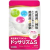 Dossalism S Butyric Acid Bacteria, 600 Million Pieces, Lactic Acid