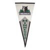 Minnesota Timberwolves Large Wool Pennant
