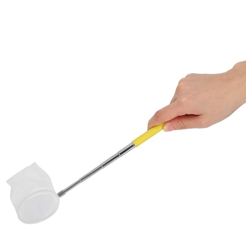 Small Aquarium Fish Net, Telescopic Pole Fish Shrimp Catch Skimming