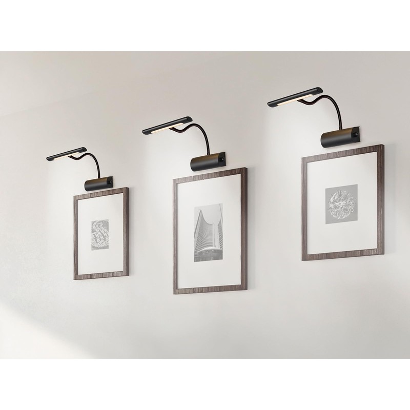 Set of 2 Dimmable Picture Lights with Flexible Arm Matte